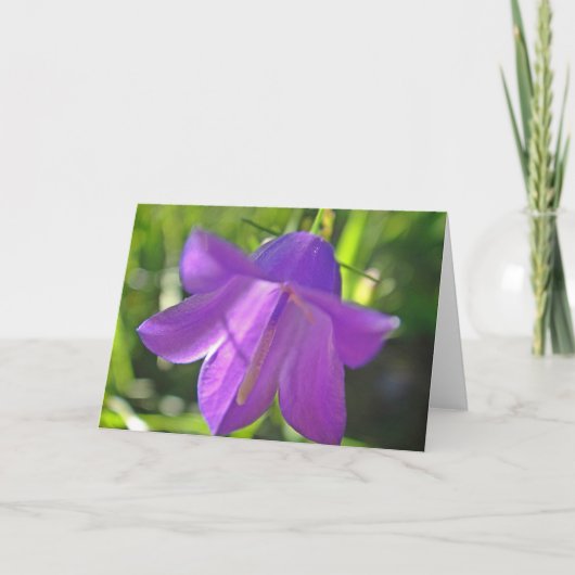 Carte de voeux de fleur violette (Devant)