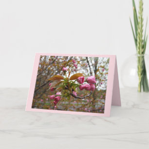 Carte de voeux de fleurs de cerisier