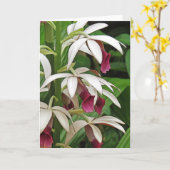 Carte de voeux de fleurs de l'orchidée de la nonne (Fleur jaune)