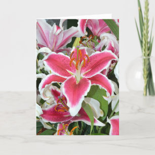 Carte de voeux de fleurs de lys stargazer roses