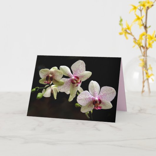 carte de voeux de fleurs tropicales (Fleur jaune)