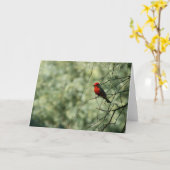 Carte de voeux de FLYCATCHER (Fleur jaune)