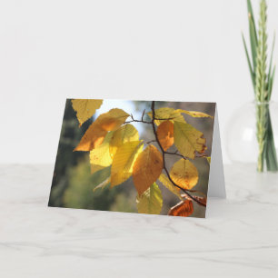 Carte de voeux de Foliage d'automne