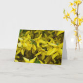 Carte de voeux de forsythia (Fleur jaune)
