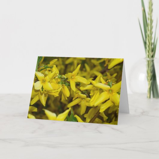 Carte de voeux de forsythia (Devant)