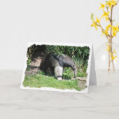 Carte de voeux de fourmilier géant (Fleur jaune)