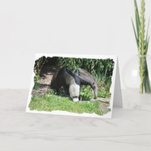 Carte de voeux de fourmilier géant