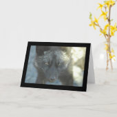 Carte de voeux de Fox (Fleur jaune)