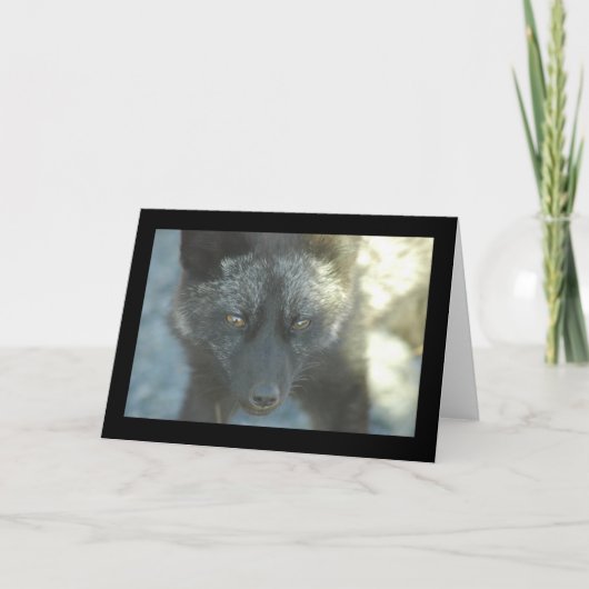 Carte de voeux de Fox (Devant)