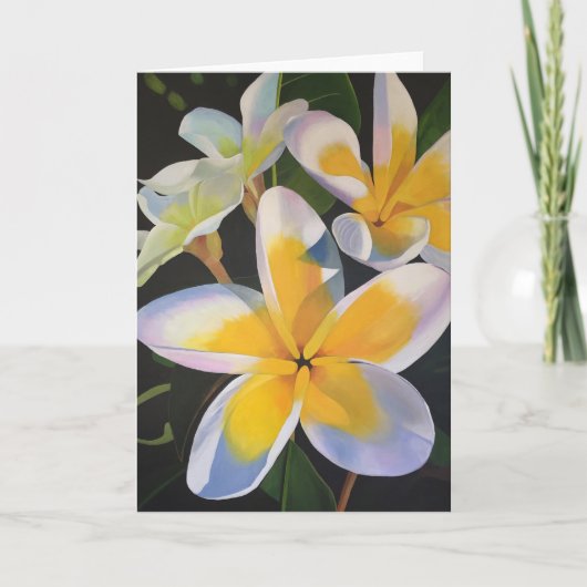 Carte de voeux de Frangipani d'été - blanc (Devant)