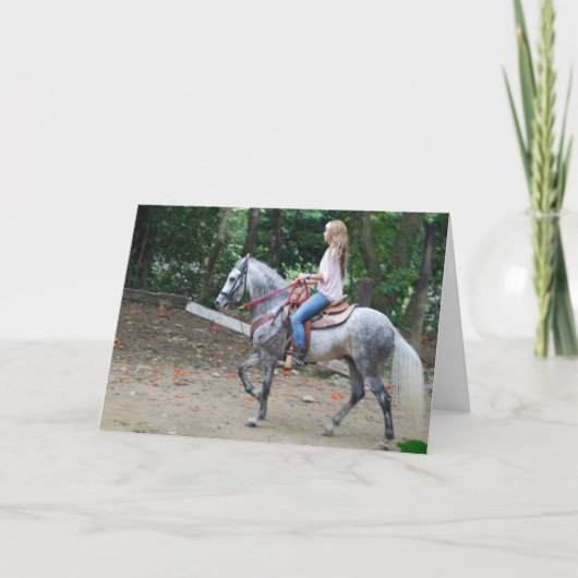 Carte de voeux de Gaited Paso Fino (Devant)