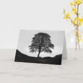 Carte de voeux de Gap de sycomore (Fleur jaune)