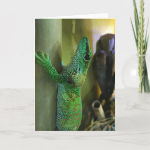 carte de voeux de gecko #2 (encouragement)