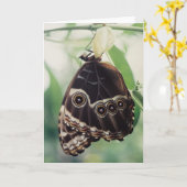 Carte de voeux de gloire d'Ermerging (Fleur jaune)