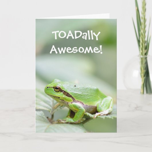 Carte de voeux de grenouille avec le texte TOADall (Devant)