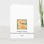 Carte de voeux de Halloween (Dos)