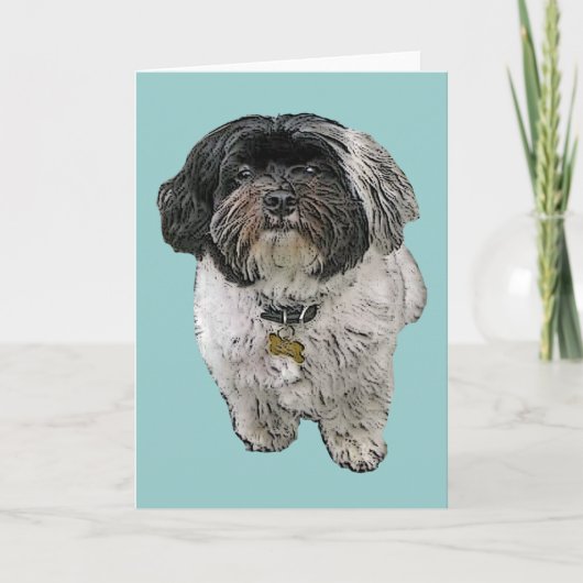 Carte de voeux de Havanese (Devant)