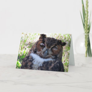 Carte de voeux de hibou