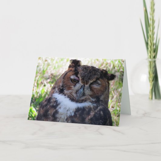 Carte de voeux de hibou (Devant)