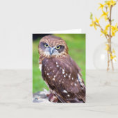 Carte de vœux de hibou (Fleur jaune)