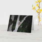 Carte de voeux de hibou barré, intérieur vide (Fleur jaune)