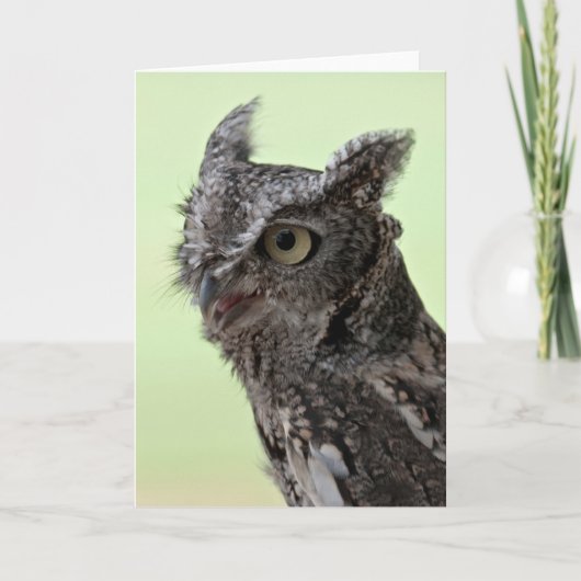 Carte de voeux de hibou de cri strident (Devant)