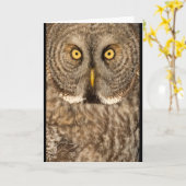 Carte de voeux de hibou de grand gris (Fleur jaune)