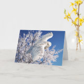 Carte de voeux "de hibou de Milou" (Fleur jaune)