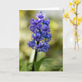 Carte de voeux de jacinthes (Fleur jaune)