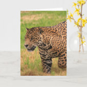 Carte de voeux de Jaguar (Fleur jaune)