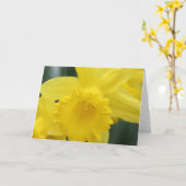 Carte de voeux de jonquille (Fleur jaune)