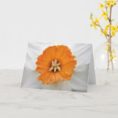 Carte de voeux de jonquille blanche (Fleur jaune)