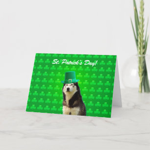 Carte de voeux de Jour de la Saint Patrick Husky S