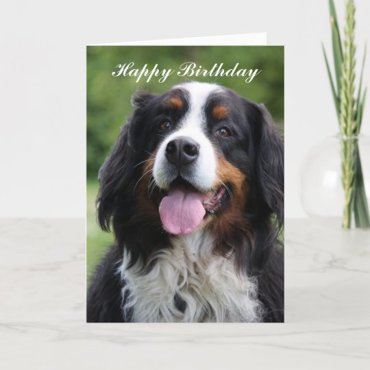 Carte De Voeux De Joyeux Anniversaire De Chien De Zazzle Be