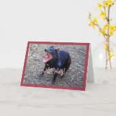 Carte de voeux de joyeux anniversaire de diable (Fleur jaune)