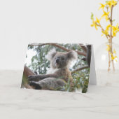 Carte de voeux de koala (Fleur jaune)