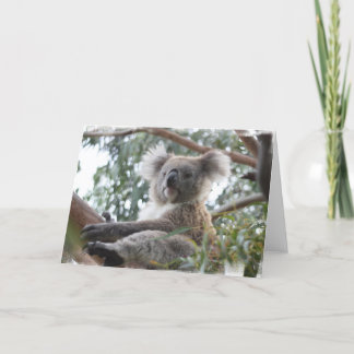 Carte de voeux de koala