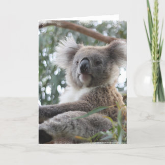 Carte de voeux de koala
