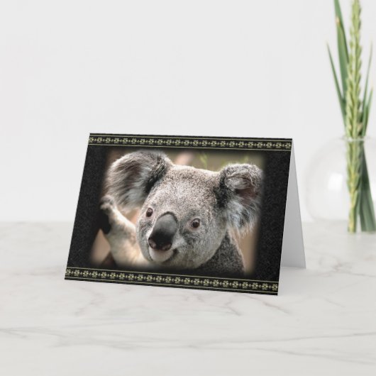 Carte de vœux de koala curieux (Devant)