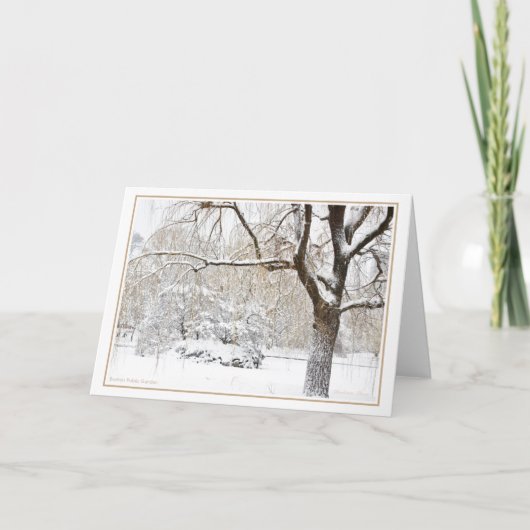 Carte de vœux de la Boston Public Garden (Devant)