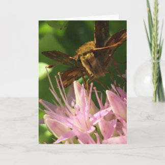 Carte de voeux de la collection d'art érotique de