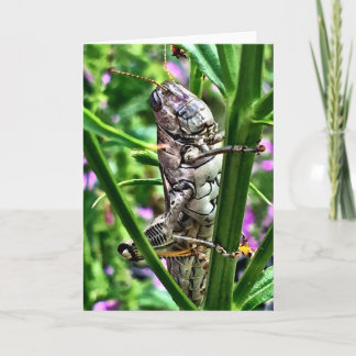 Carte de voeux de la collection de monstres de Lil