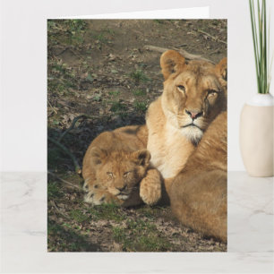 Carte de vœux de la FÊTE DES MÈRES LION ET BÉBÉ LI