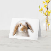 Carte de voeux de la Hollande Lop (Fleur jaune)