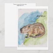 Carte de vœux de la nutria (Devant / Derrière)