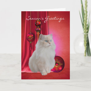 carte de voeux de la saison blanche de chat avec