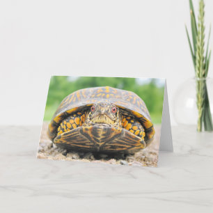Carte de voeux de la tortue