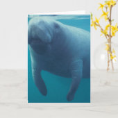 Carte de voeux de lamantin (Fleur jaune)