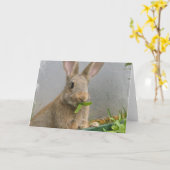Carte de vœux de lapin Cottontail (Fleur jaune)