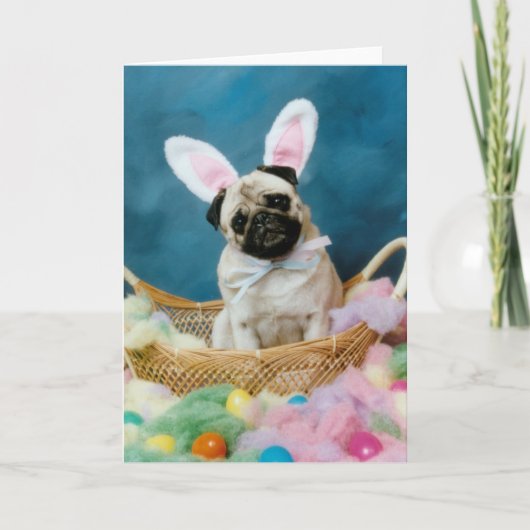 Carte de voeux de lapin de Pâques de chien de (Devant)